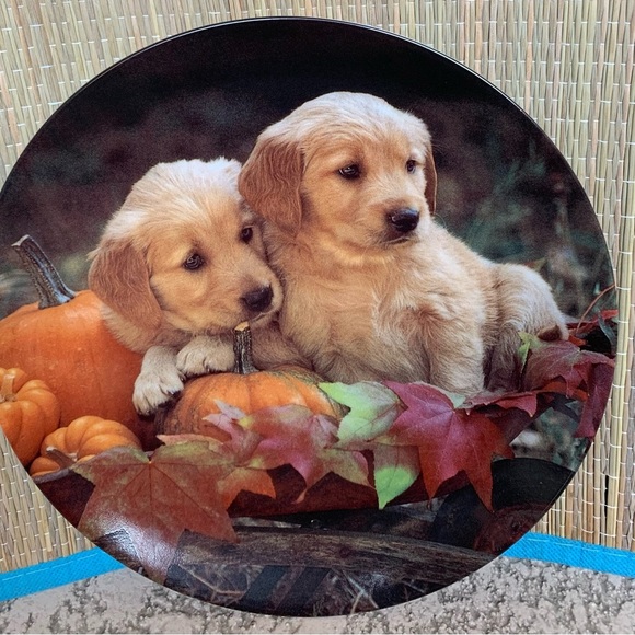 Collection plate - Picture 2 of 5